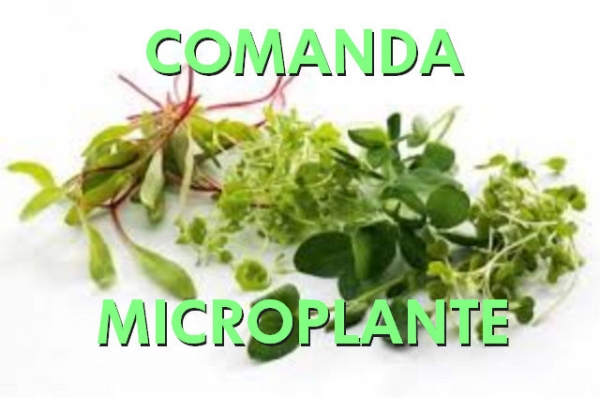 MICROPLANTE COMENZI